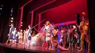 Curtain call, closing show, Priscilla Queen of the Desert Broadway