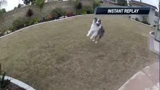 My Little Football Stars -- Part 2