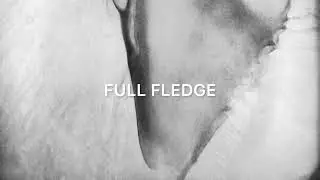 Full Fledge | Rap Type Beat