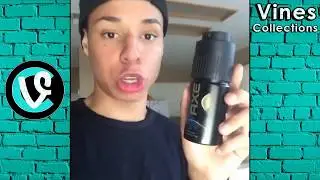 LARRAY Xo Funny Vines Videos 2017 | Best Comedy Vine Compilation | try not to laugh