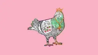Sexy Pigeon | Playlist