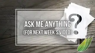 Ask me anything