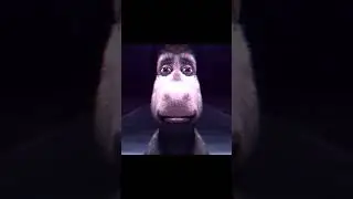 вопросы?