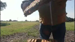 Lazy Dog Bee Farm #1