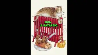 Новогодний кот 2.0 #shorts  #cat #funny #юмор