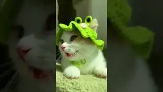This is so cute 