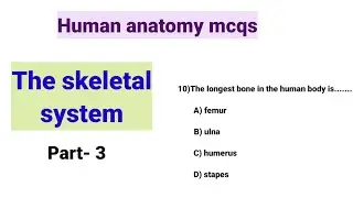 Skeletal system mcqs||human anatomy and physiology mcqs