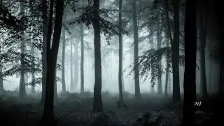 tEho - Back to the Forest (Original Mix)