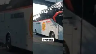 Bus Prayogo