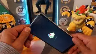 como resetear Revvl 6 Pro Formatear android
