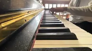 Bach Italian Concerto • 1st Movement