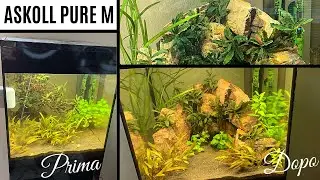 Riallestisco il mio acquario ASKOLL PURE M (44 litri) 💦