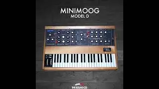 Minimoog Model-D analog synth - SAMPLE PACK (DEMO)