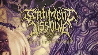 Sentiment Dissolve – Forced Birther (Official Lyric Video)