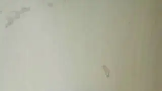 sigo vivo!