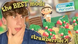 the BEST mods in Animal Crossing: New Horizons