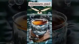 Удачногодня