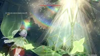 Nahida test 1