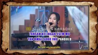 Diva Hani  Wewayangan  Sagita Djandhut Assololley KARAOKE