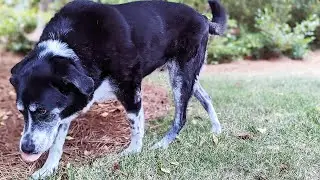 Ender Update  - Is He Getting Better???