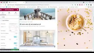 How to use widget Post Masonry