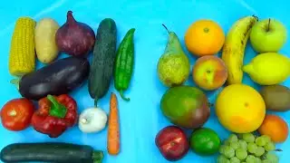 Учим фрукты и овощи. Видео-Мультики для малышей