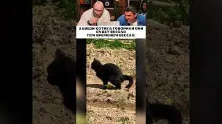 Заведи котика говорили они 😹