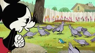 FEED THE BIRDS #SHORTS