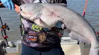 Catfishing