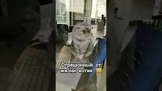 3 сентября 2024 г.