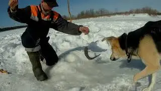 НАЛИМ сошёл с ума, КЛЮЁТ даже днём! РЫБАЛКА в отпуске часть 2.