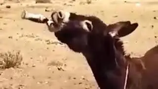 Энергетик от дяди Васи