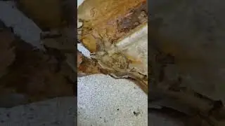 Update on that Jeep (Part 2) 