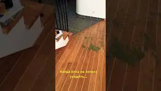 Она сопротивлялась… 
