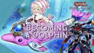 FROM F2P INTO DOLPHIN -  9-MONTH F2P ACCOUNT UPDATE! BUYING SD FOR ONOMATS!  [Yu-Gi-Oh! Duel Links]