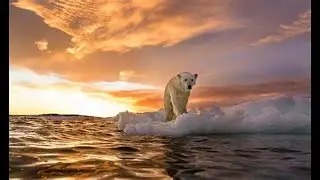 HOW TO ADAPT TO WORLDWIDE CLIMATE CHANGE | PRESENTED BY AM's TECHNO LOGICAL KNOWLEDGE CHANNELᴴᴰ