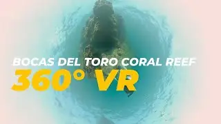 Exploring Bocas del Toro, Panama: VR Coral Reef Experience