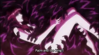 HunterXHunter Palm and Meruem