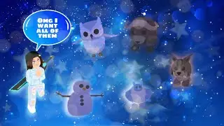 I bought EVERYTHING in the winter event shop