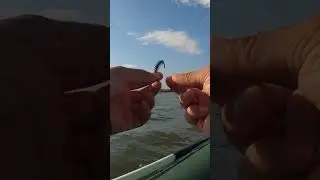 Хищная густера 🤣  #Shorts