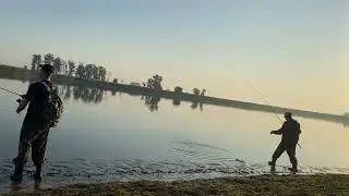 Сколько же тут рыбы?😱 Рыбалка на Кубани на Щуку🎣 Поклевка за поклевкой 😍
