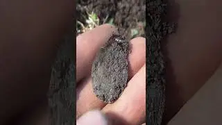 коп по старине неожиданные находки с металлоискателем 