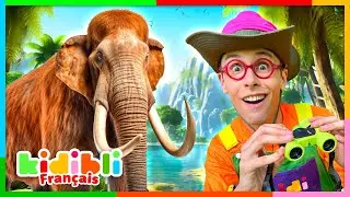 Découvrons les Mammouths et la Préhistoire ! | Vidéos Educatives pour Enfants | Kidibli