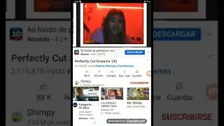 perfectiy cut Screams 132