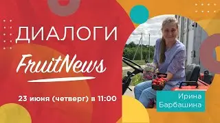 Диалог об организации сбора земляники садовой с Дмитрием Швецом и Ириной Барбашиной