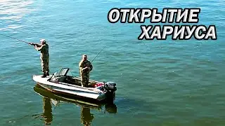 Открытие сезона. Хариус на Ангаре. 2024