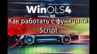 How to use the Script function in 