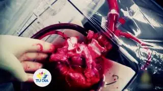 INNOVANDO AL MUNDO - Avances en lo cotidiano