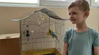 Устанавливаем гнездовой ящик для волнистых попугаев