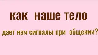 Как тело дает подсказки в выборе окружения?